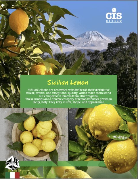 Sicilian Lemon brochure cover