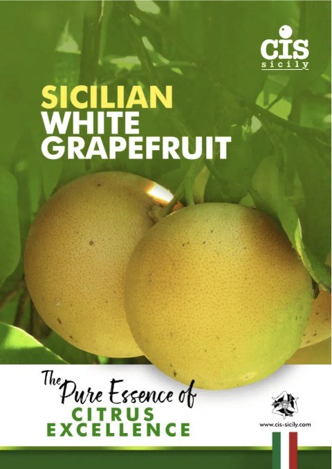 Sicilian White Grapefruit brochure cover