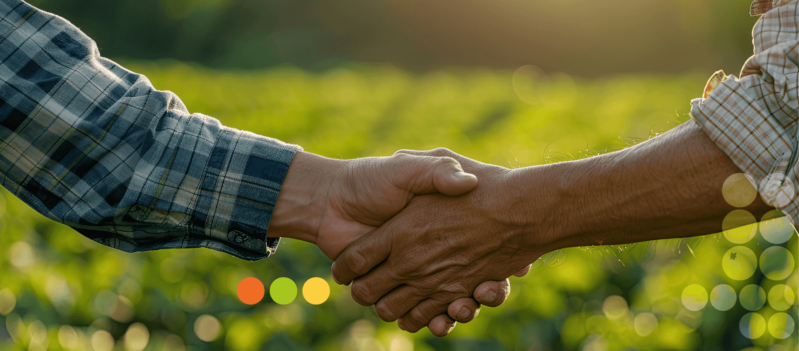 Handshake in a Sicilian orchard, partnering with CIS Sicily